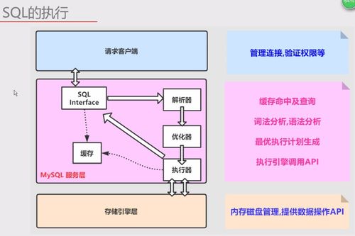 MySQL核心理解笔记 体系架构与SQL执行全解析